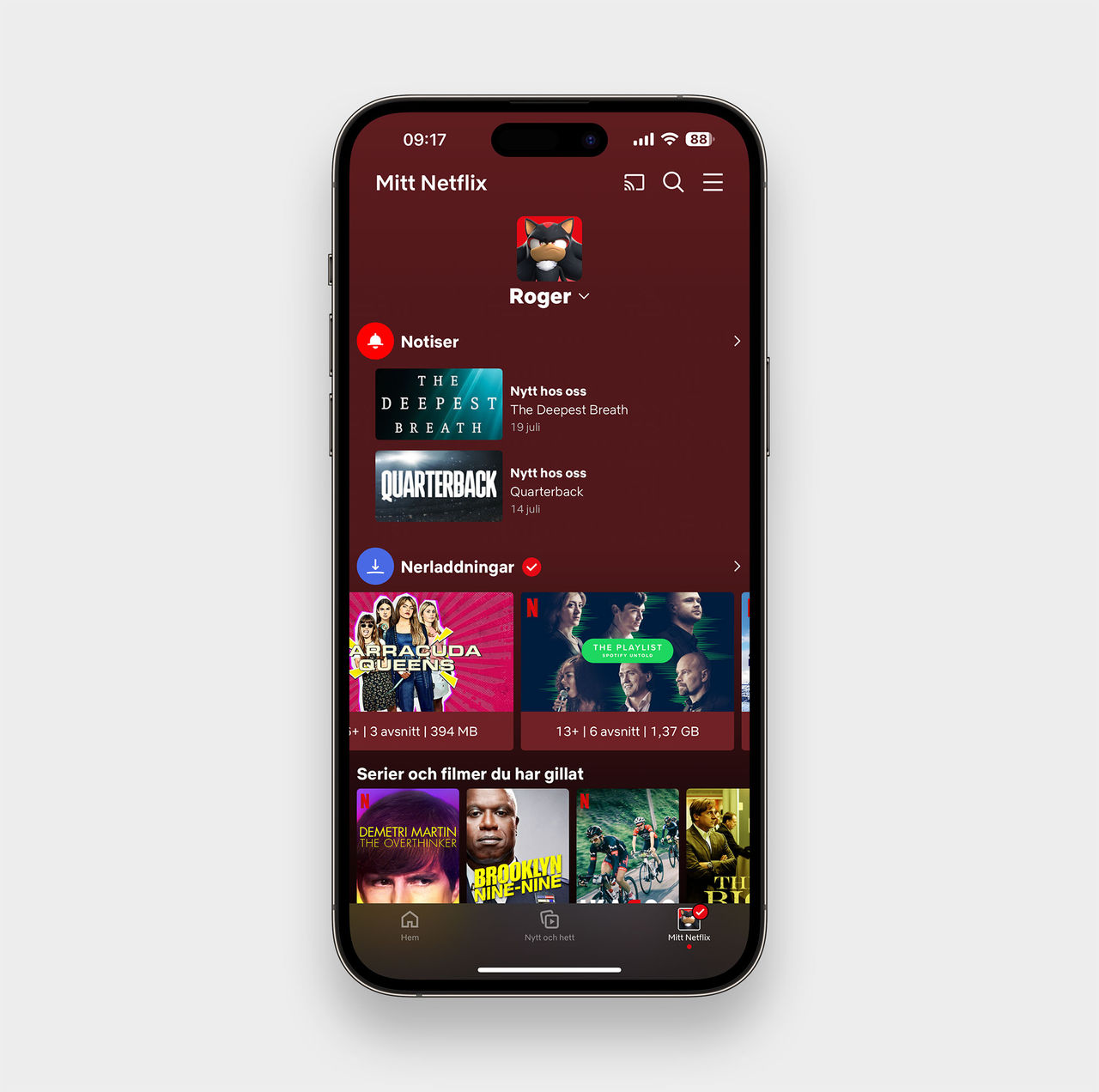 Nu får dina saker på Netflix en egen flik