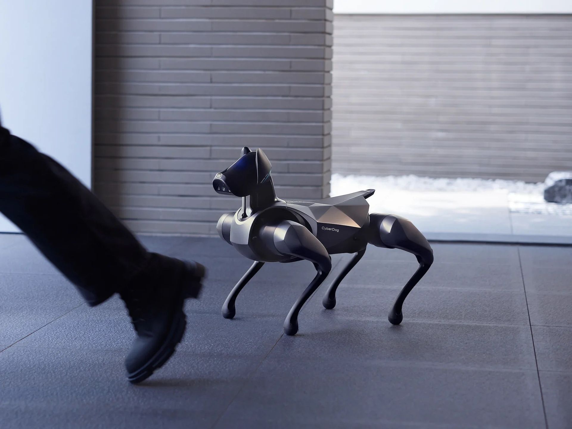 Xiaomi visar upp ny version av CyberDog