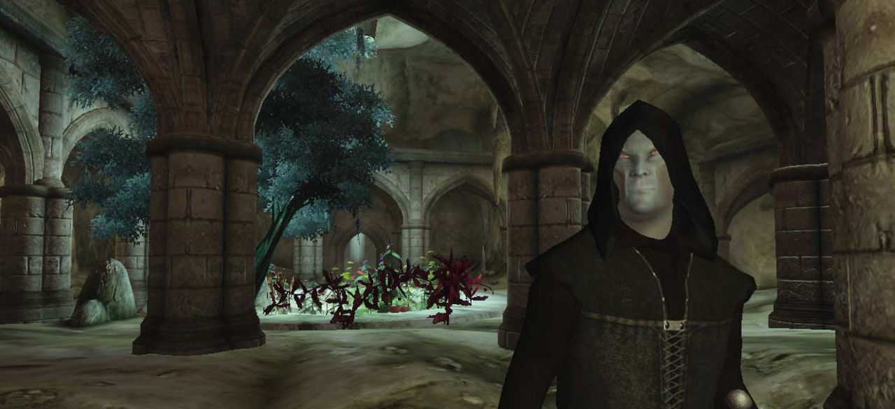 Knights of the Nine för 800 MS-poäng