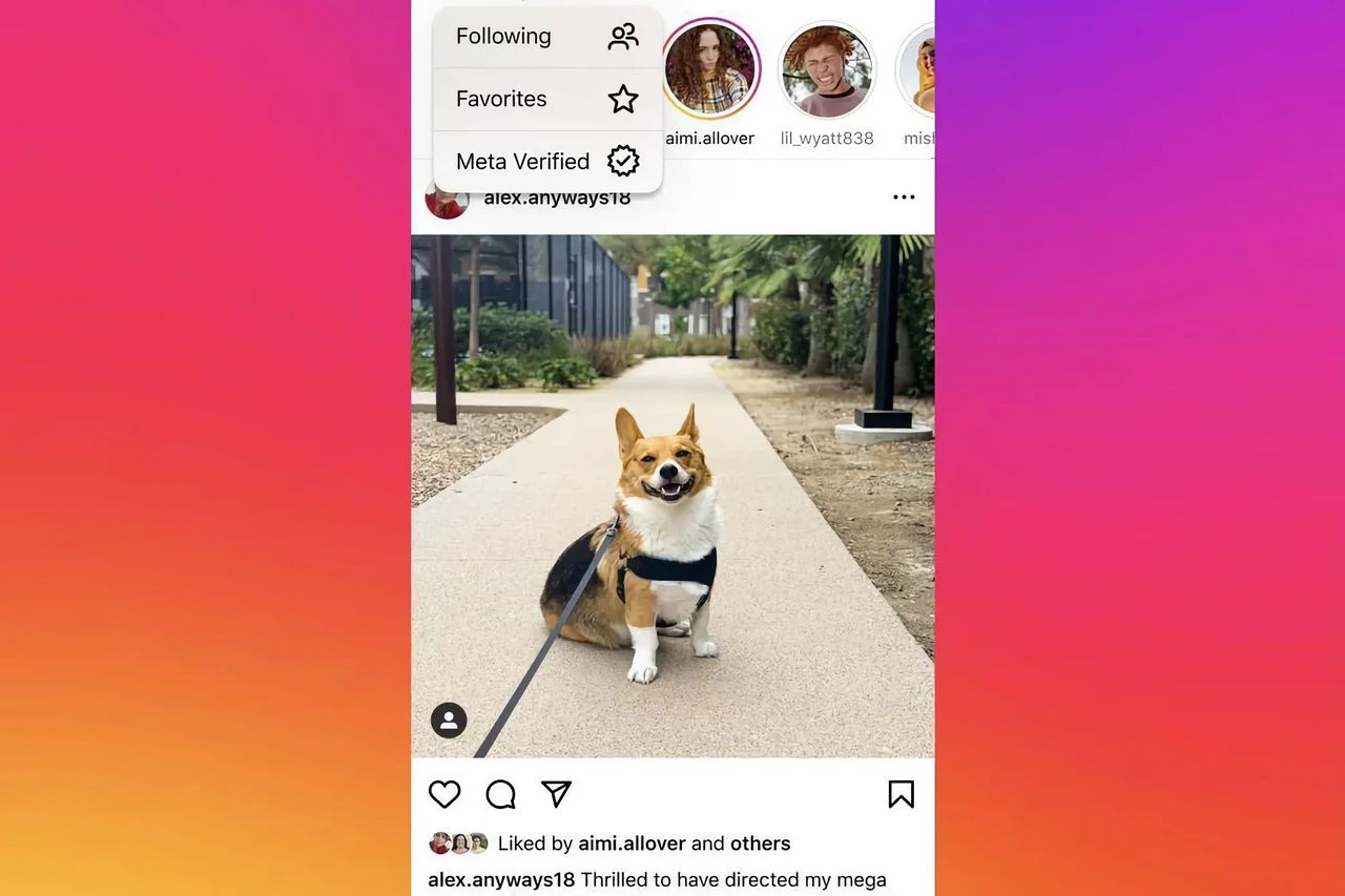 Instagram testar flöde med endast verifierade konton