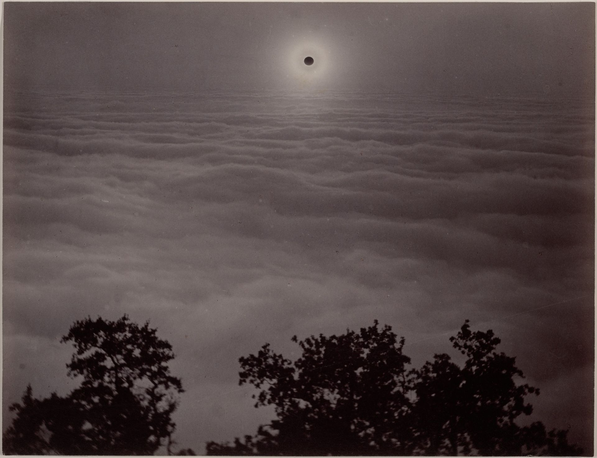 En bild på en solförmörkelse från 1880