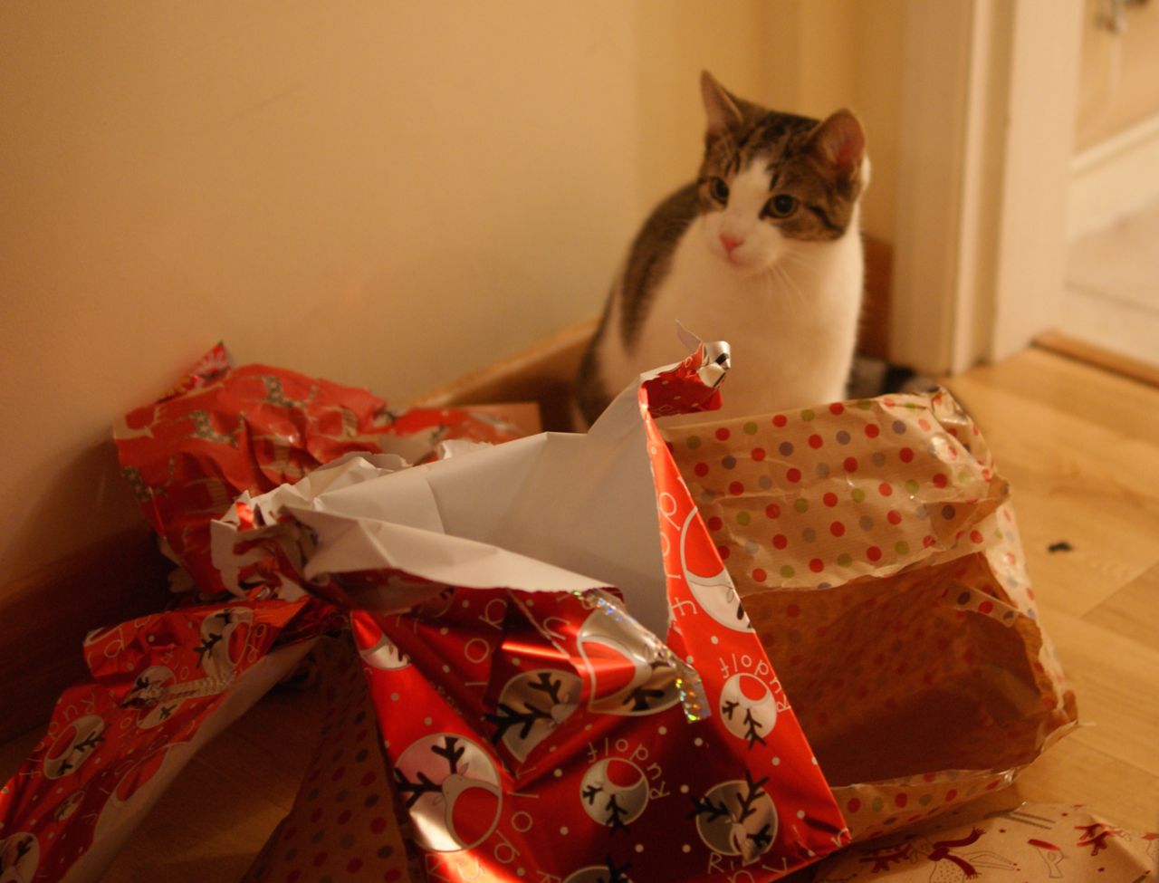 Ska du köpa en begagnad julklapp i år?