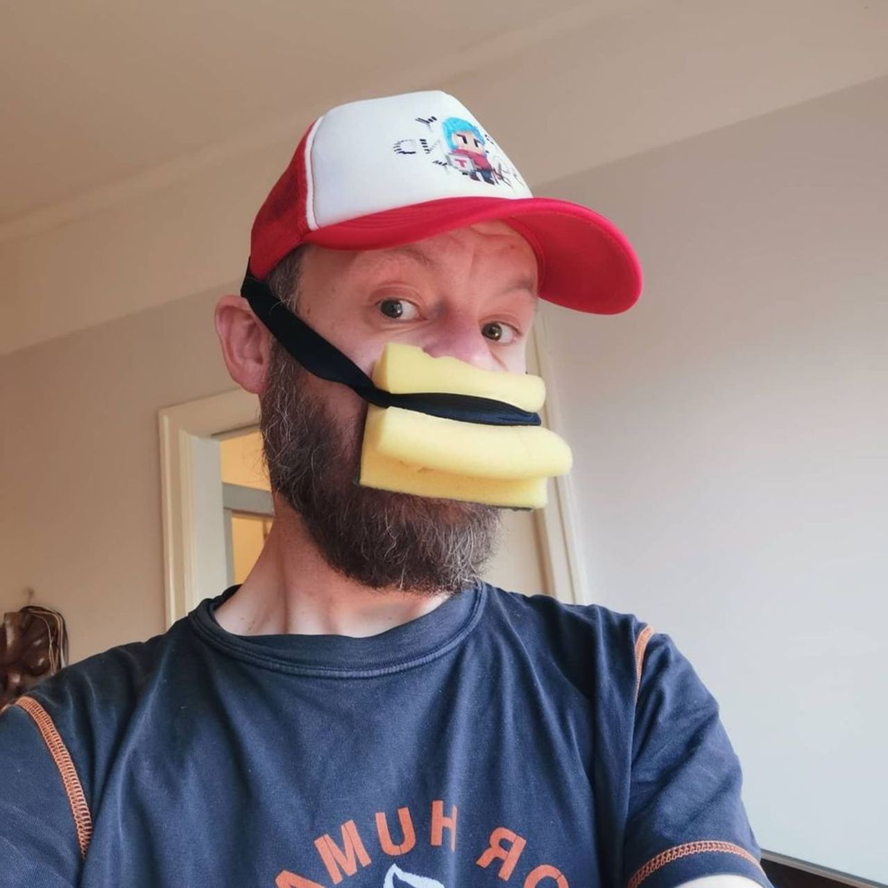 Forskarnas dom om munskydden