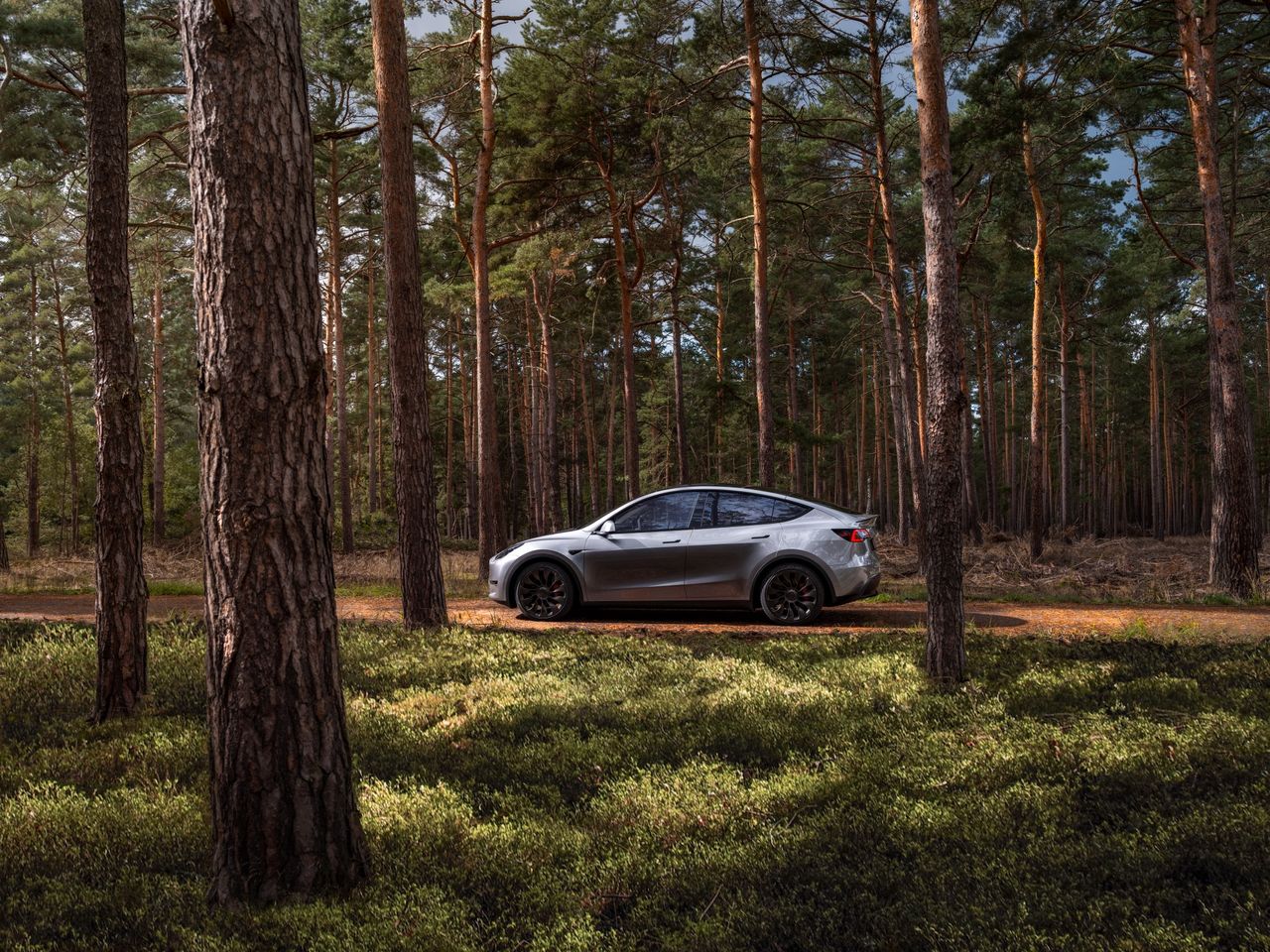 Tesla Model Y näst mest sålda bilen i november