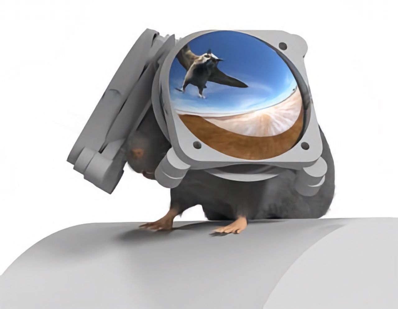 Forskare gör VR-brillor till möss