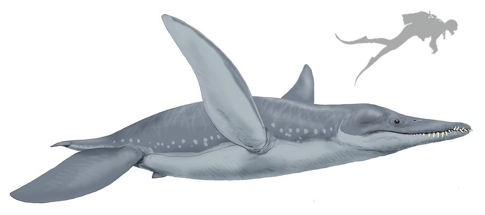 Fossil från pliosaurus hittad i Storbritannien
