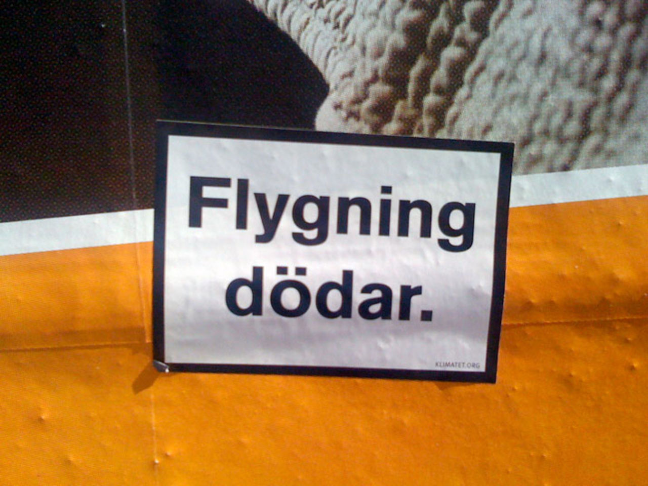 Flygning dödar