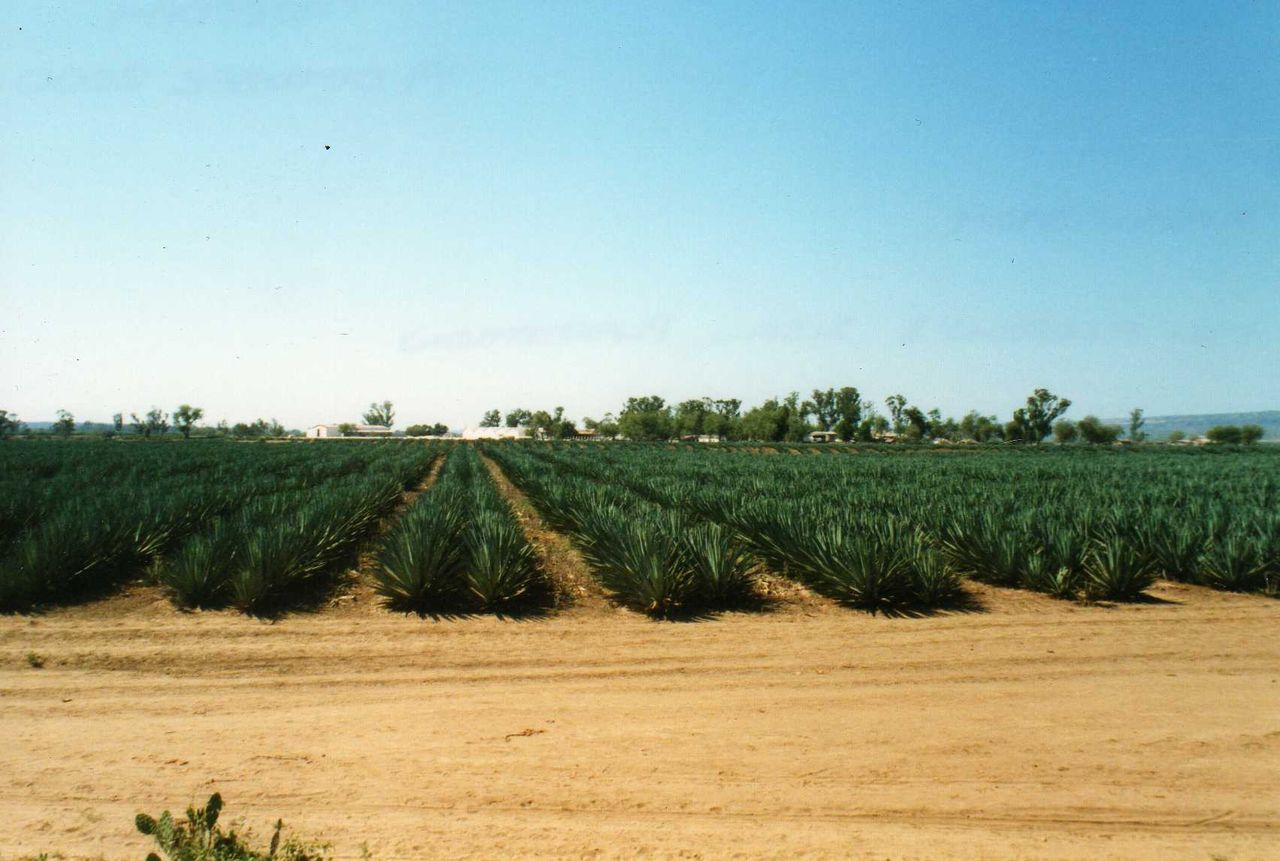 Ny superfiber kan revolutionera mensskydd