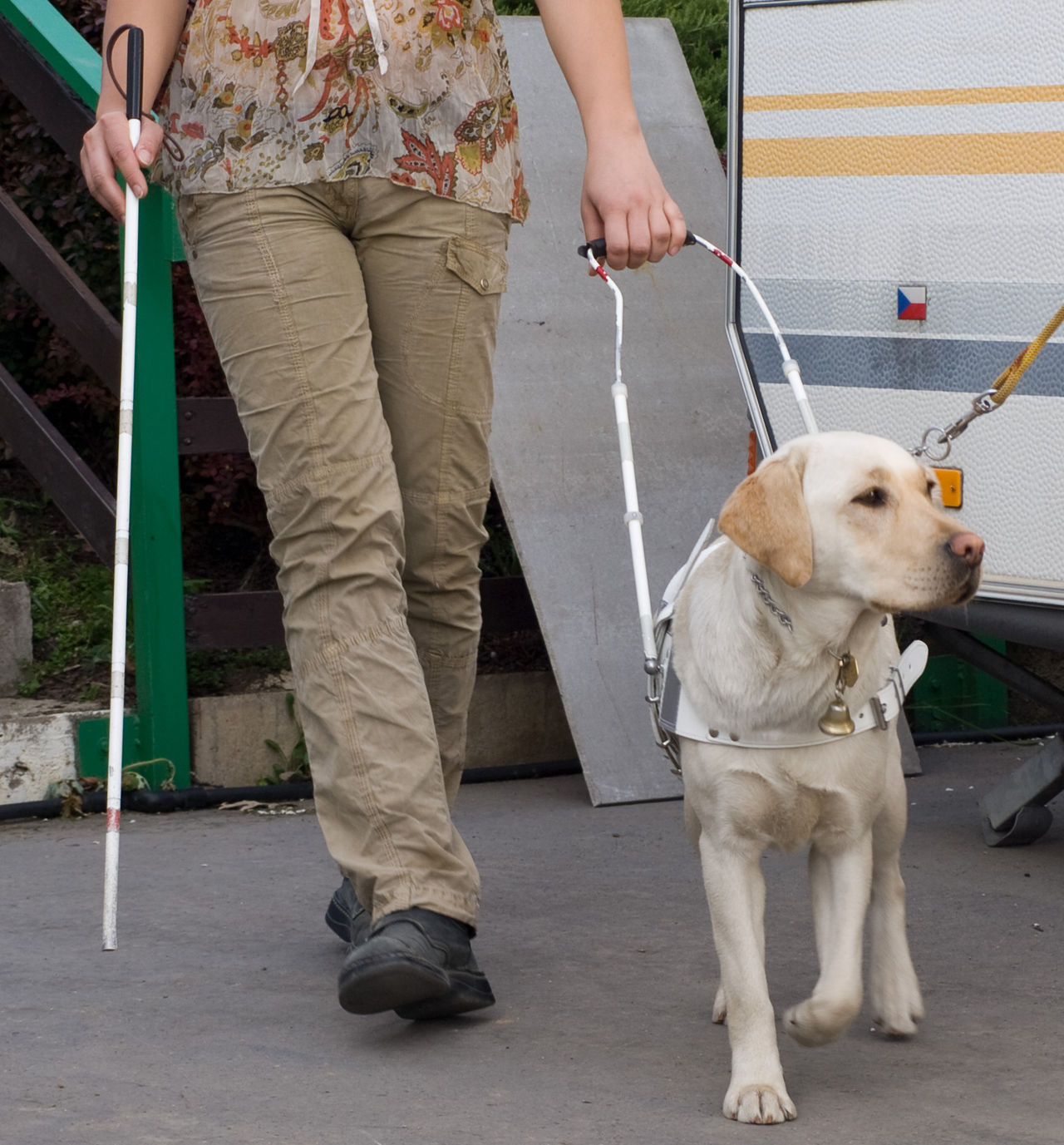 Fritt fram för ledarhundar på restauranger