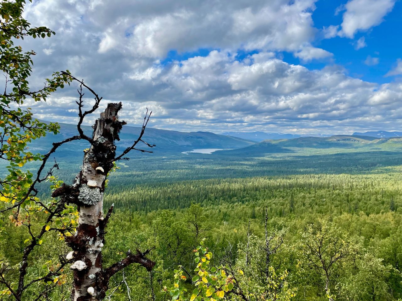I natt var det ännu kallare!