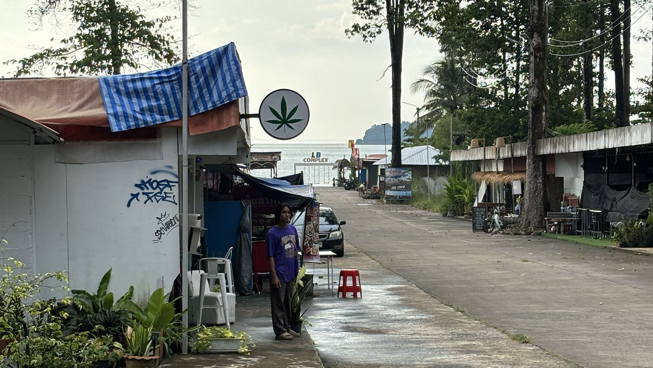 Thailand vill förbjuda cannabis