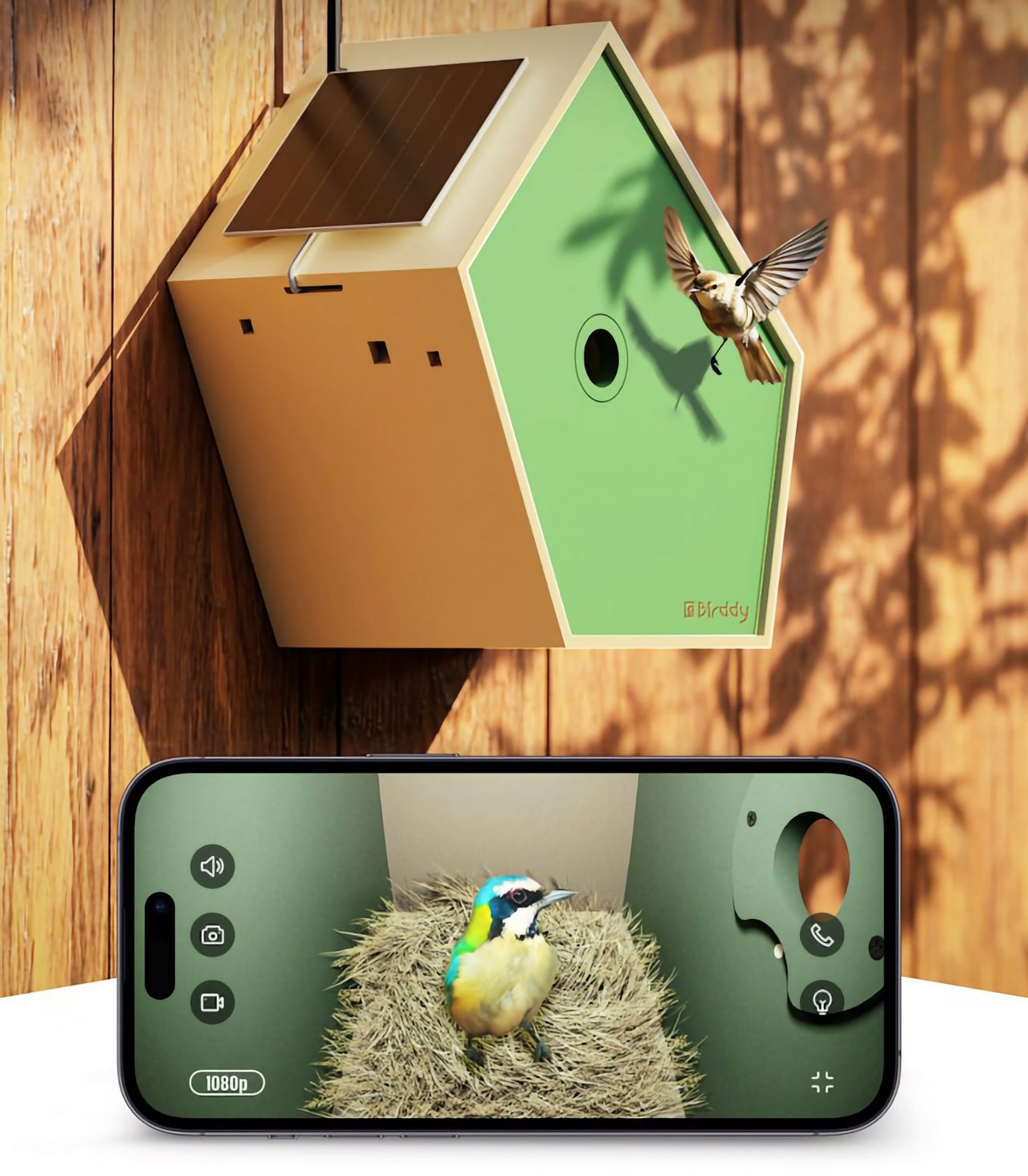 Birddy håller koll i holken