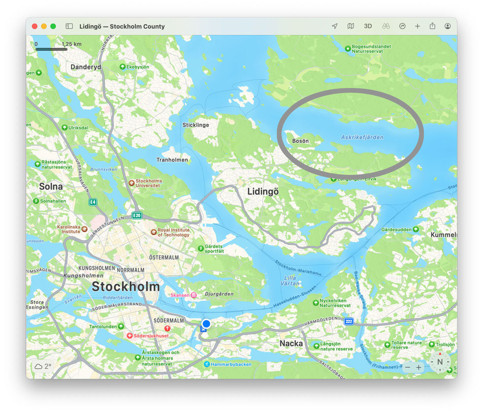 Varg siktad på isen vid Lidingö