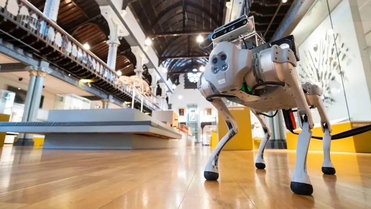 Robothund blir ledarhund