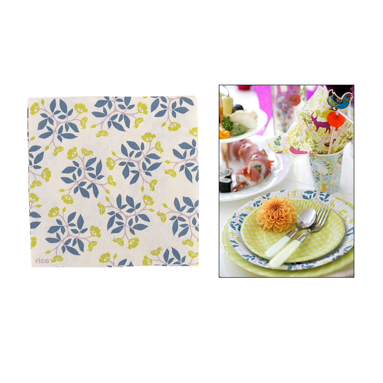 Vårens nyheter från Rice