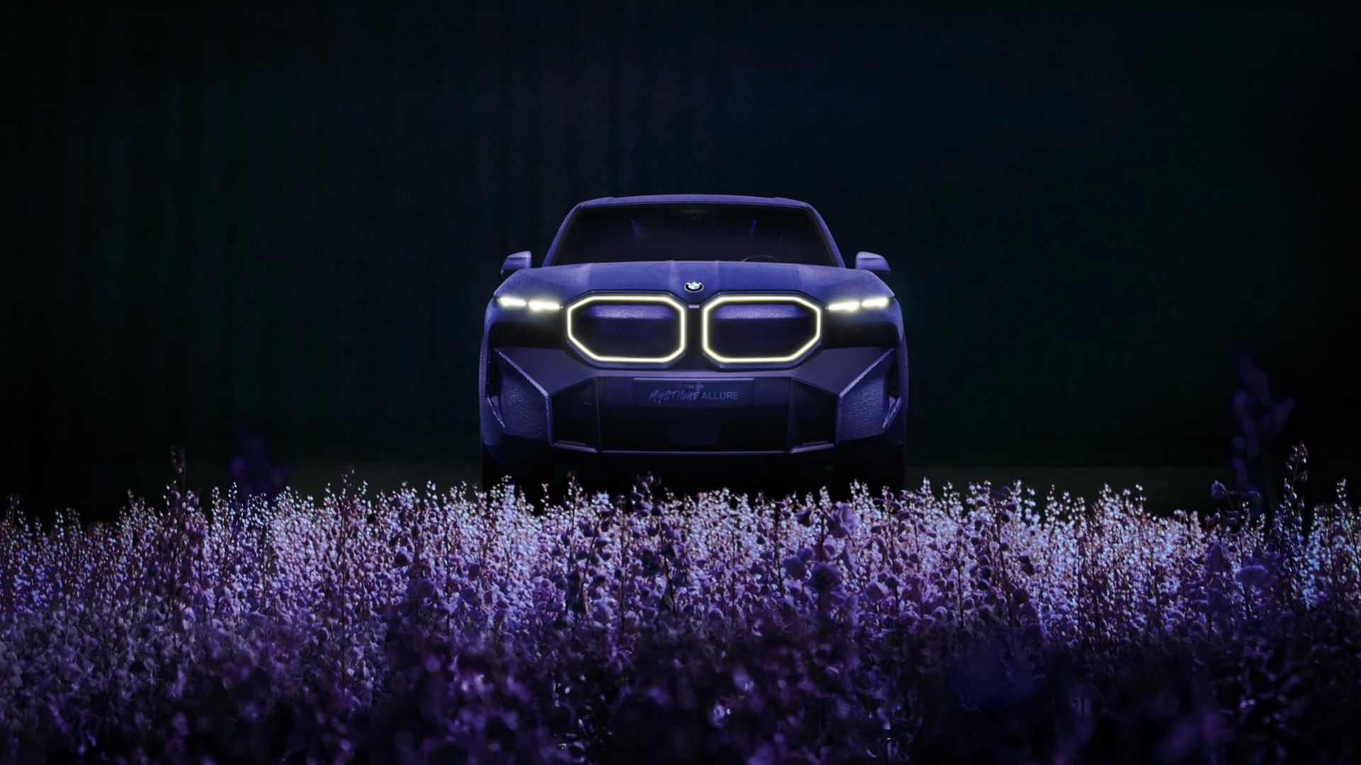 BMW XM inslagen i sammet