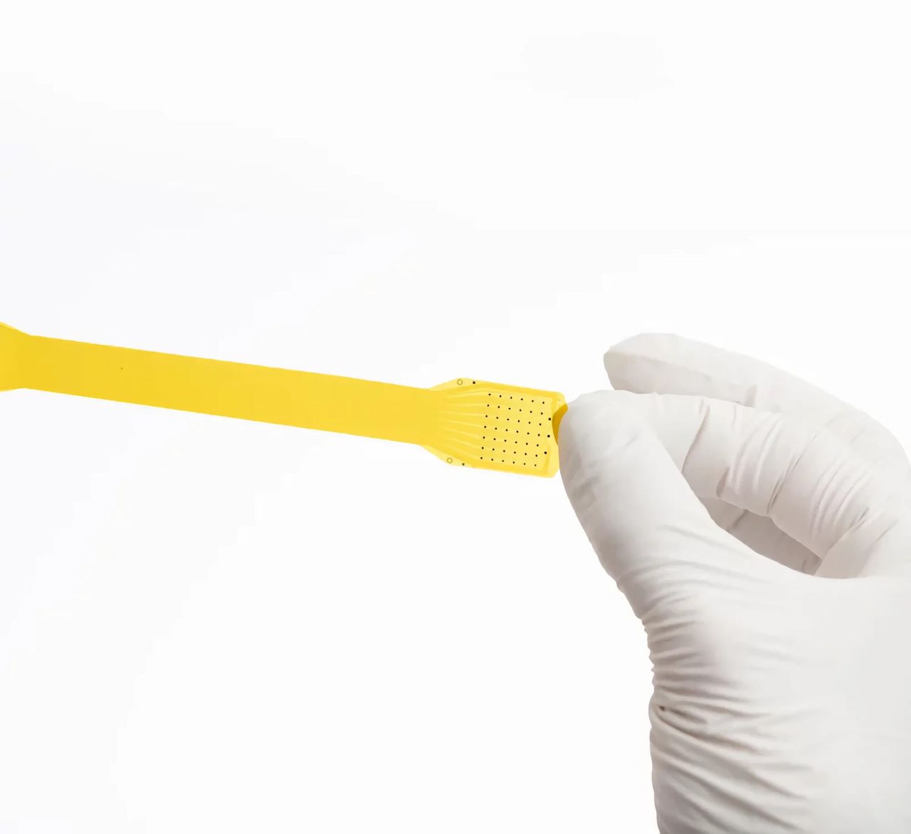 Neuralink-konkurrent sätter världsrekord 