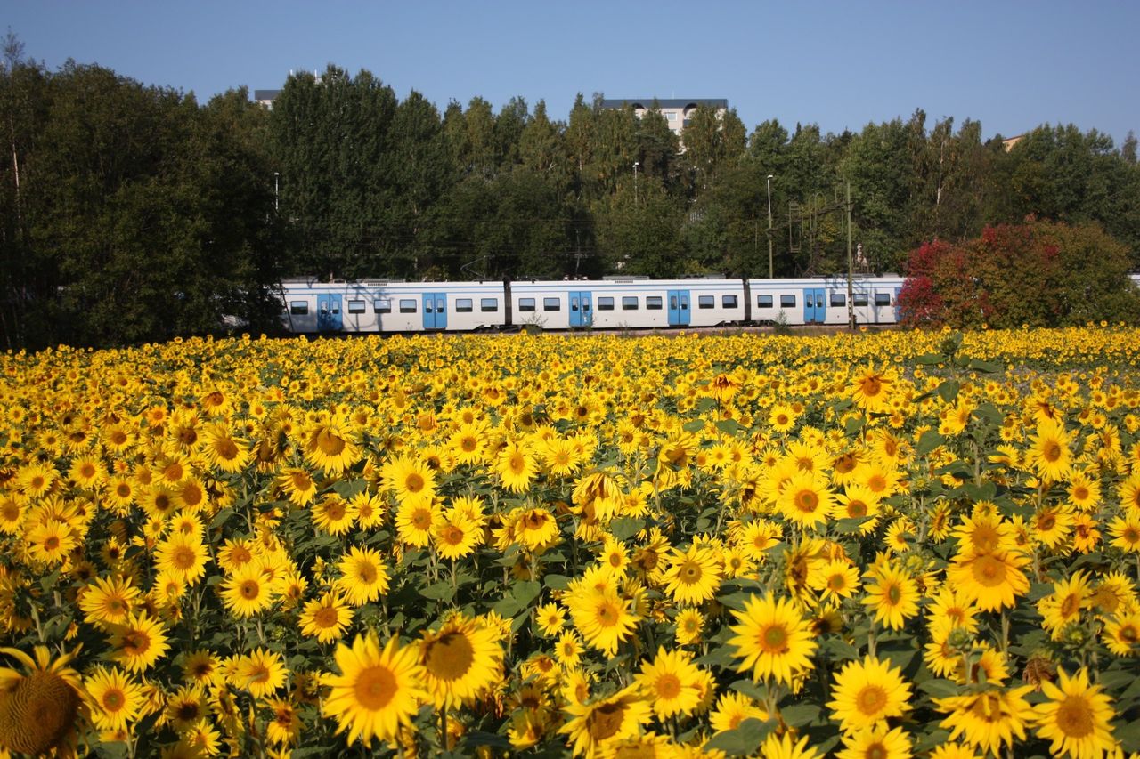 Pendeltågen i Stockholm mer pålitliga