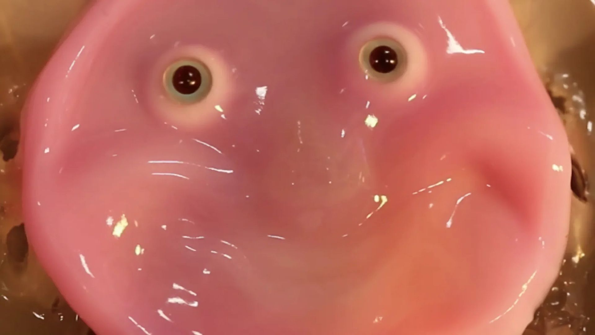 Forskare skapar robothud av levande hudceller