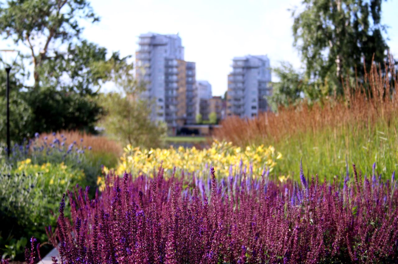 Umeå är Sveriges bästa kommun att bo i 