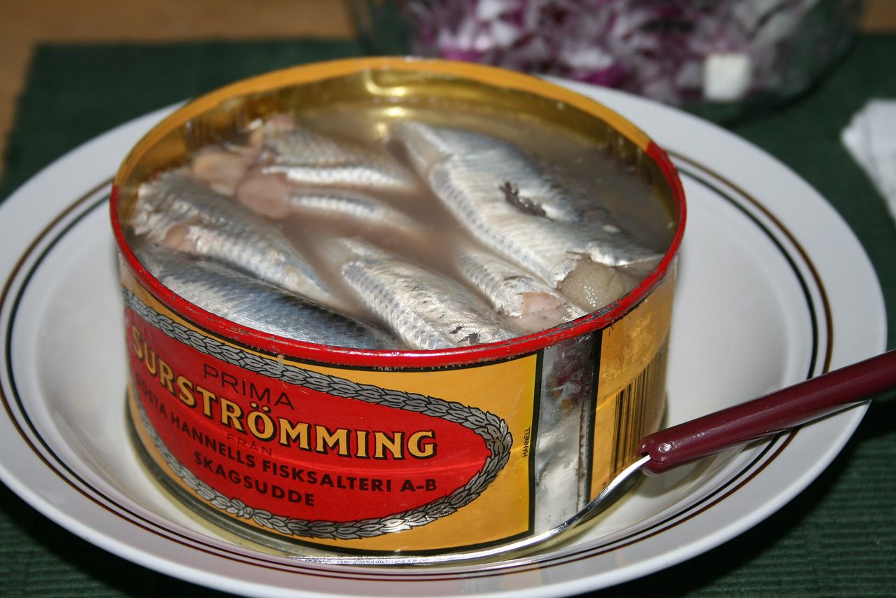 Det ser mörkt ut för surströmming i år
