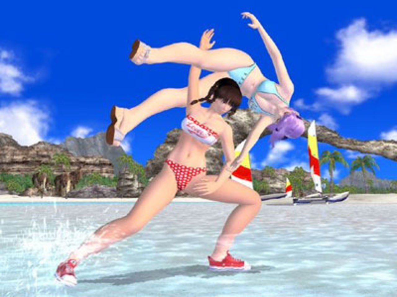 The History of Dead or Alive