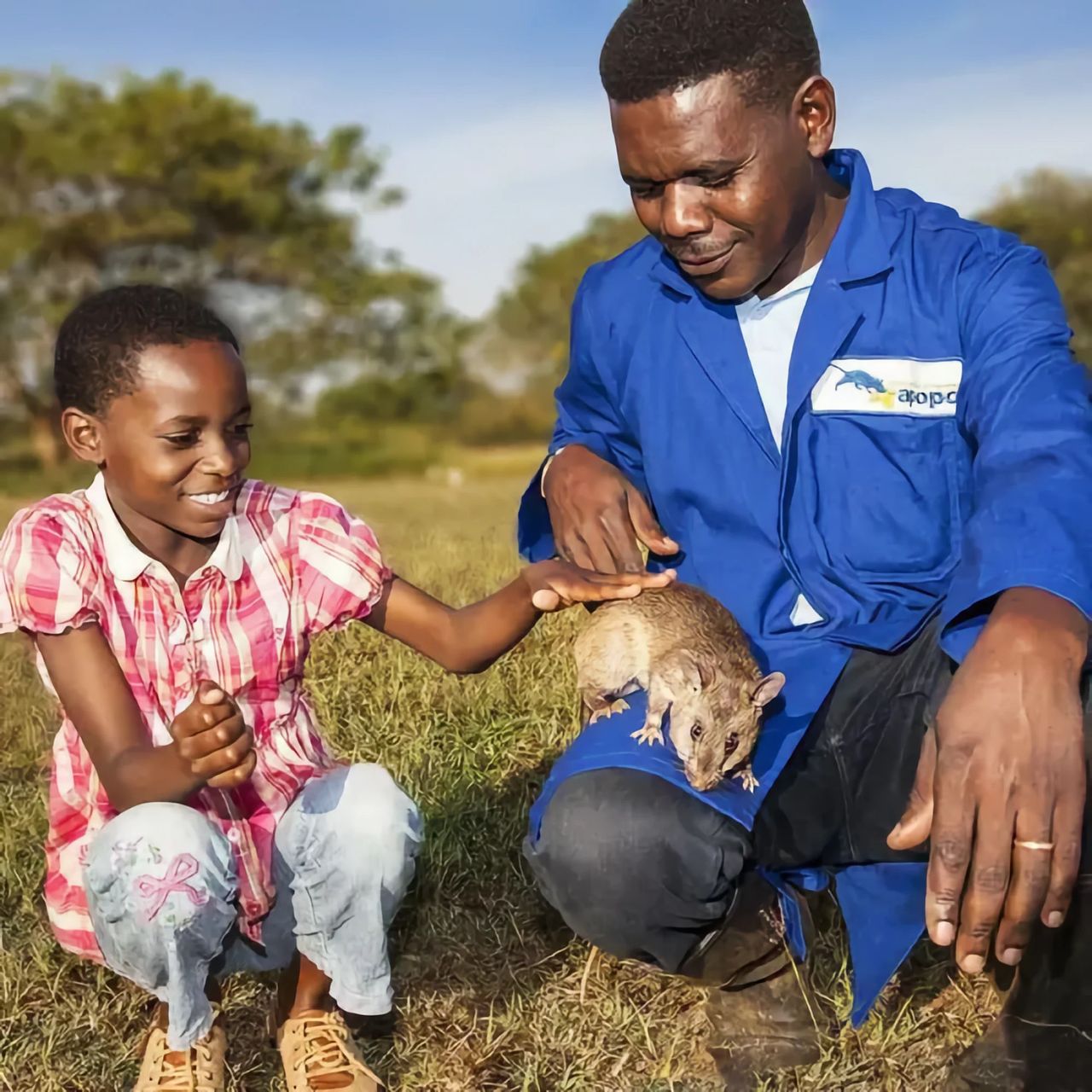 Råttor ska sättas in i kampen mot smugglare
