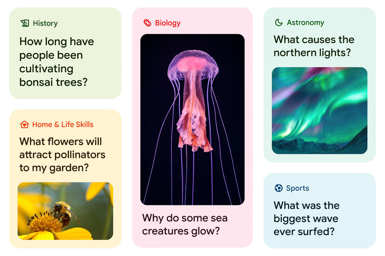 Google lanserar chatboten Learn About