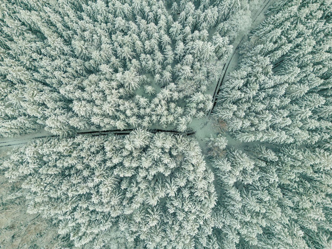 Sverige tappar i klimatrankning