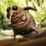 Fluga