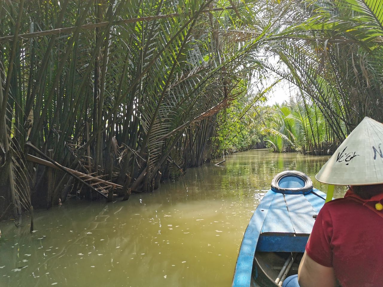 234 nya arter upptäckta runt Mekongfloden