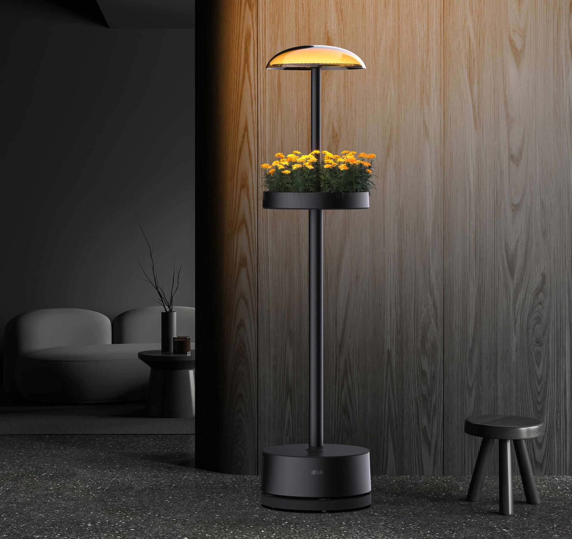 Odla under lampan i vardagsrummet