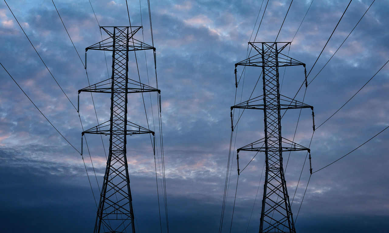 Elen var rätt så billig i år