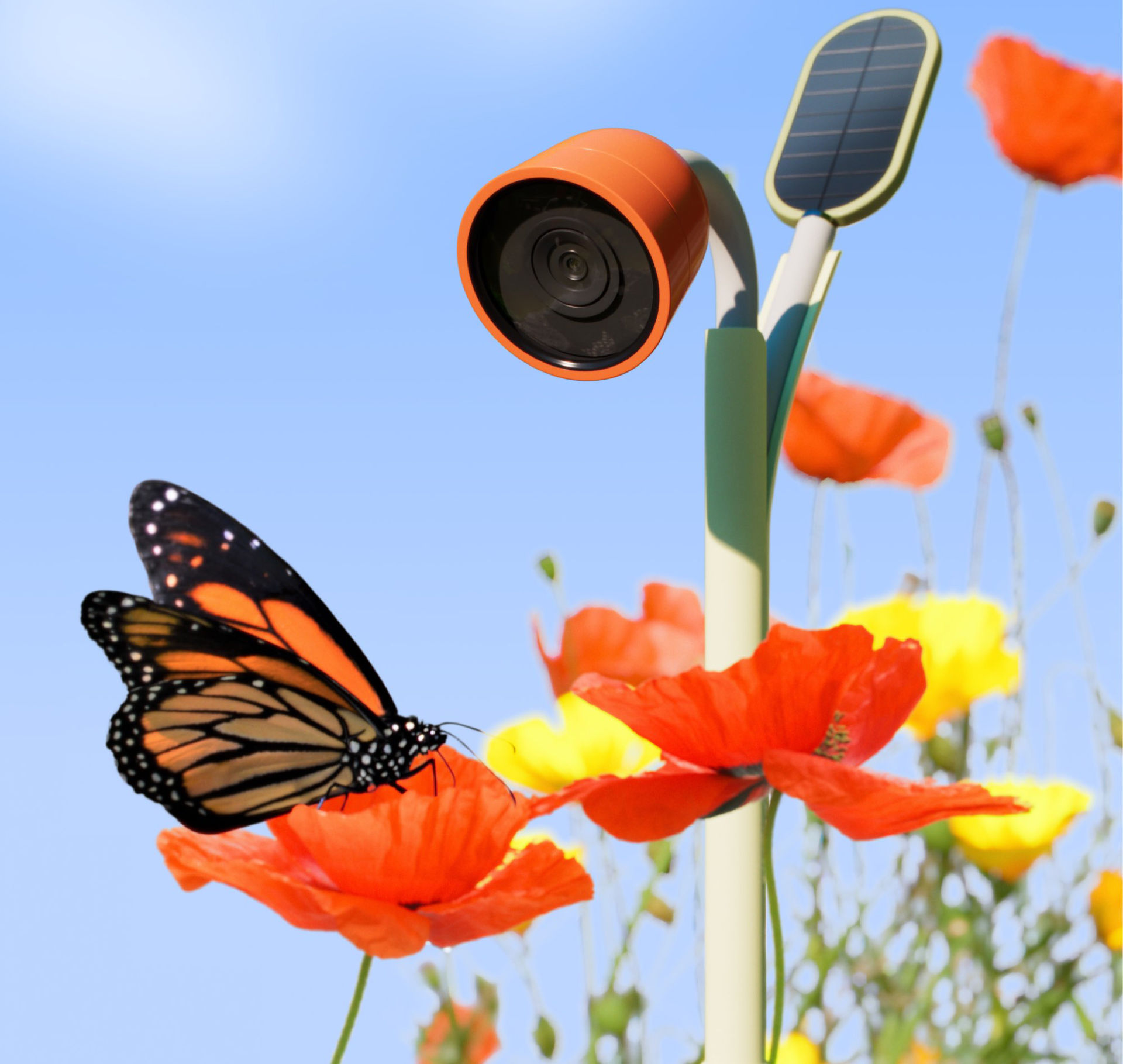 Bird Budd presenterar trädgårdskameran Petal