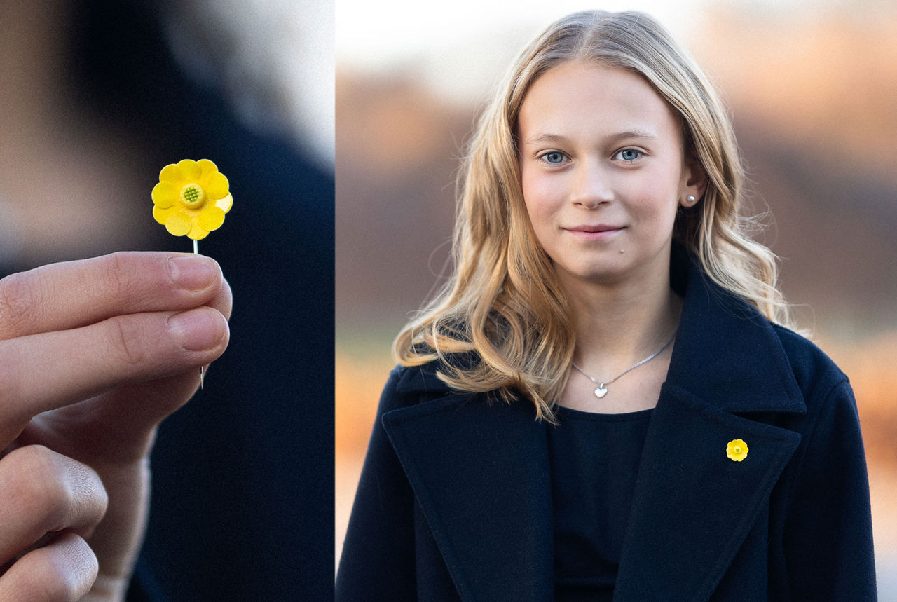 Årets Majblomma blev en gul smörblomma