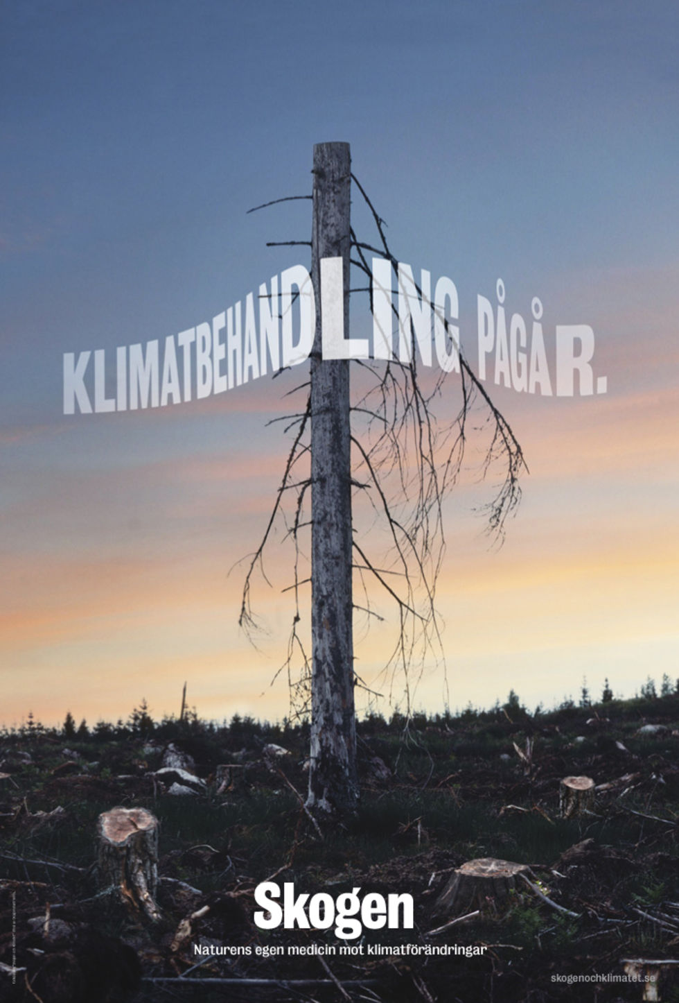 Bild till artikel