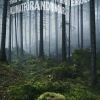 Bild till bildspel