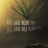 Bild till bildspel