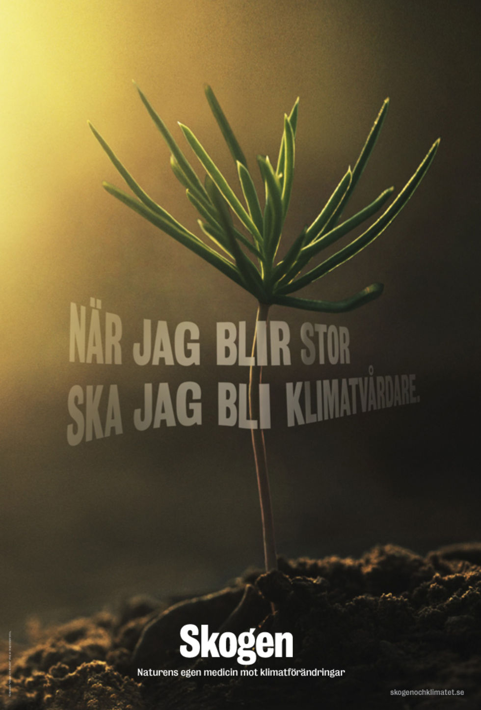 Bild till artikel