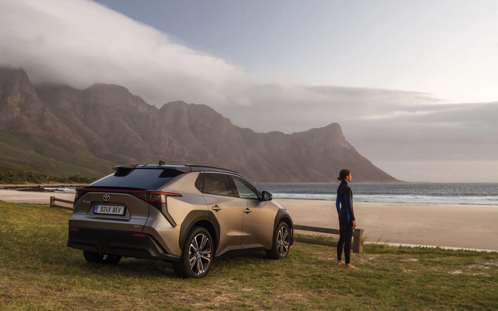 Norrmännen handlar elbilar som aldrig förr