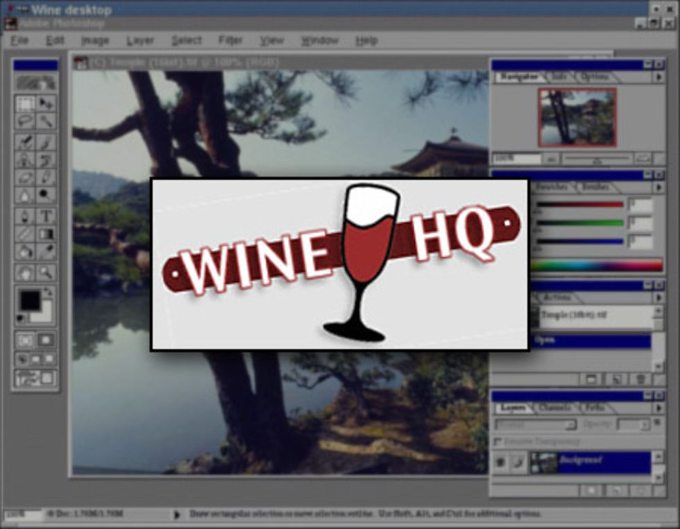 Wine RC1 ute nu
