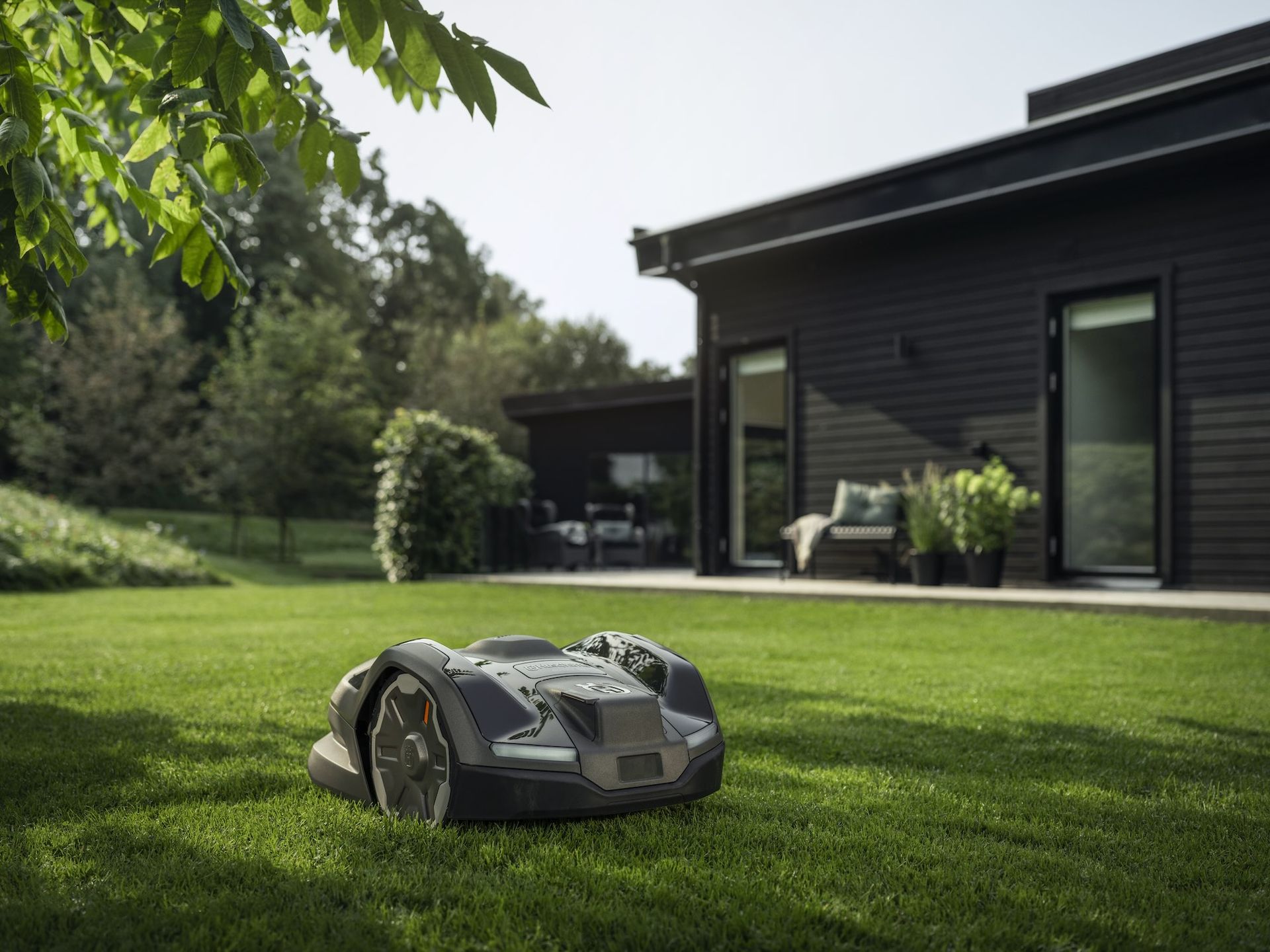 Så fixar du en tät gräsmatta utan ogräs