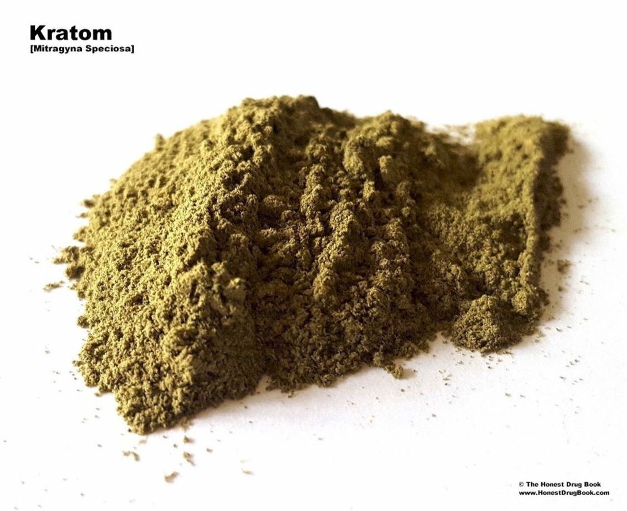 Kratom ska narkotikaklassas i Sverige