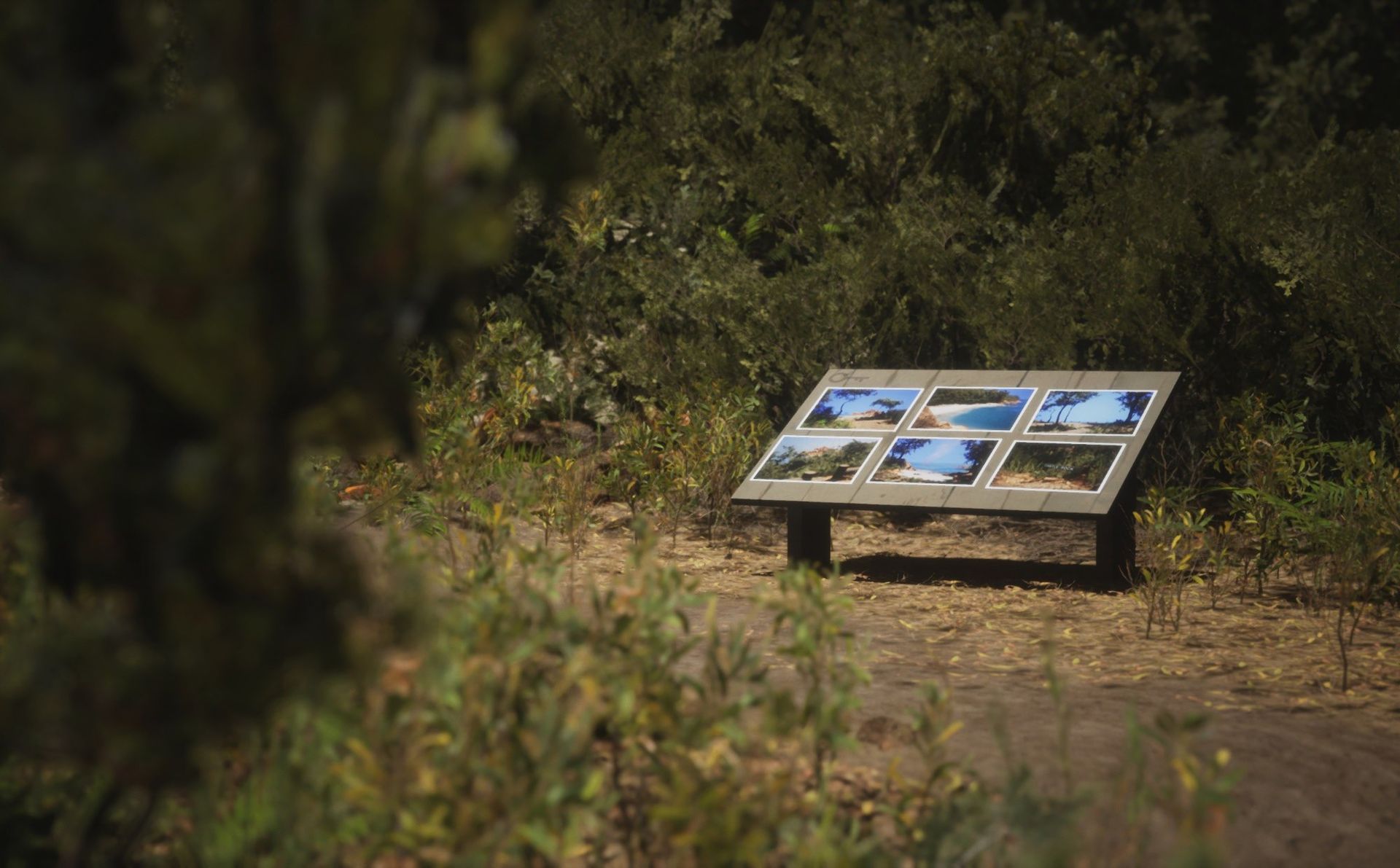 Utforska världen med Lushfoil Photography Sim