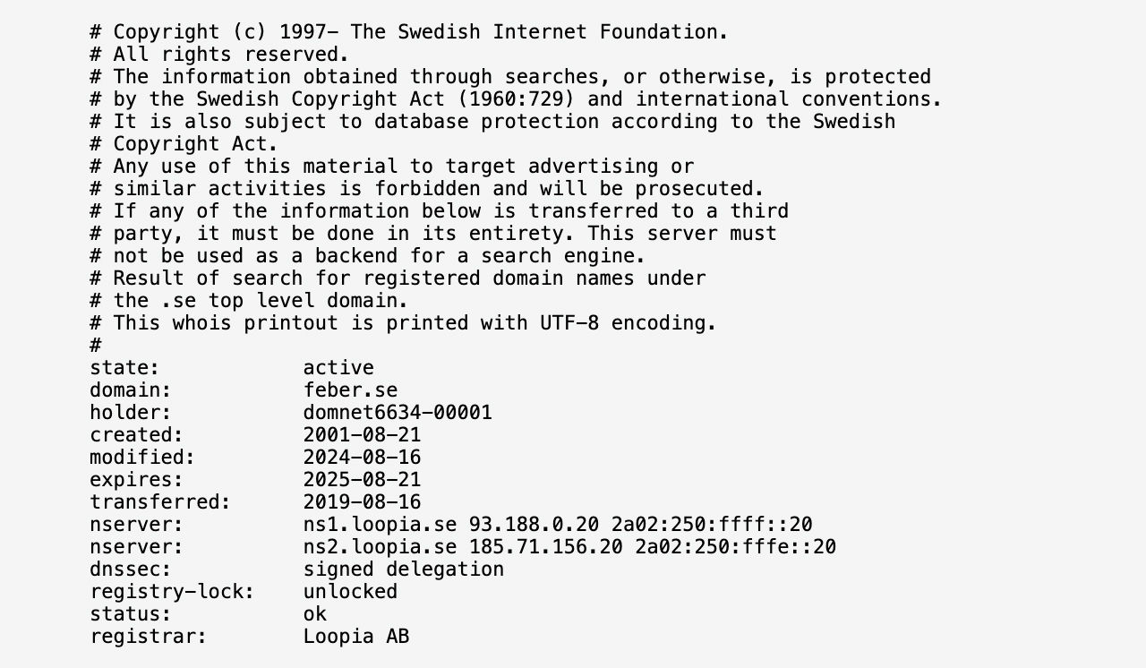 Äger du något domännamn?