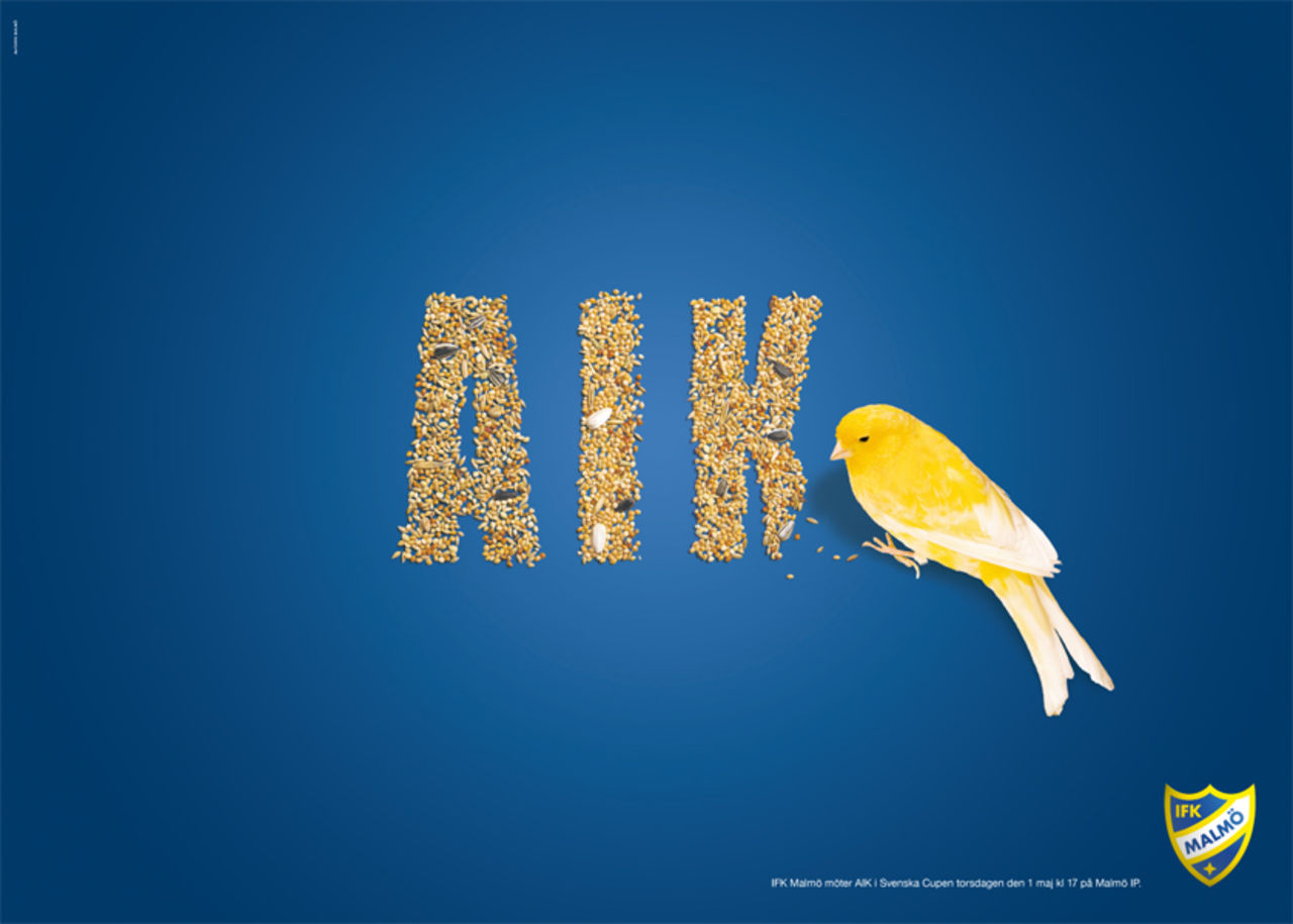 Kanariefåglarna äter AIK