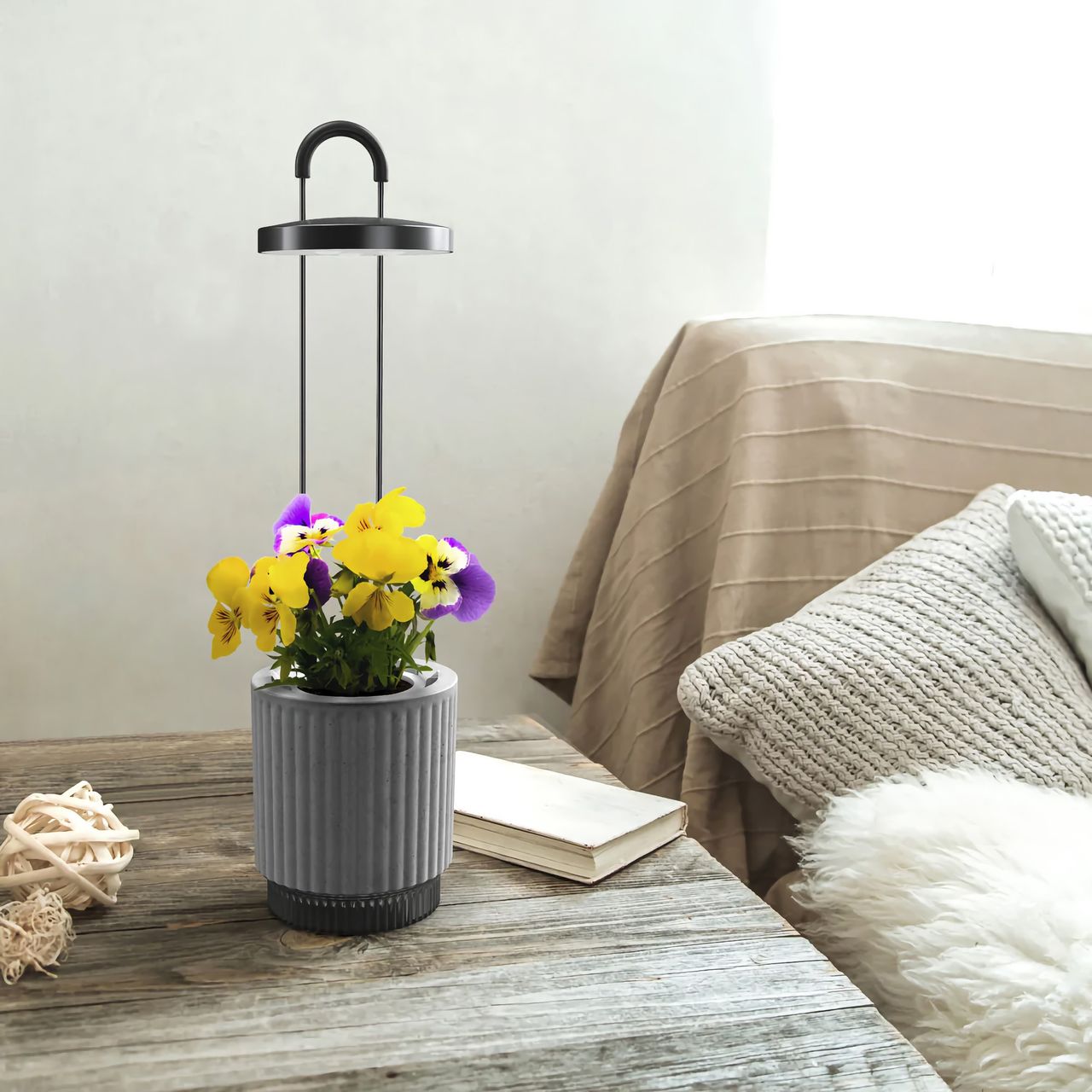 Hydrovase fixar bevattning och ljus till dina växter