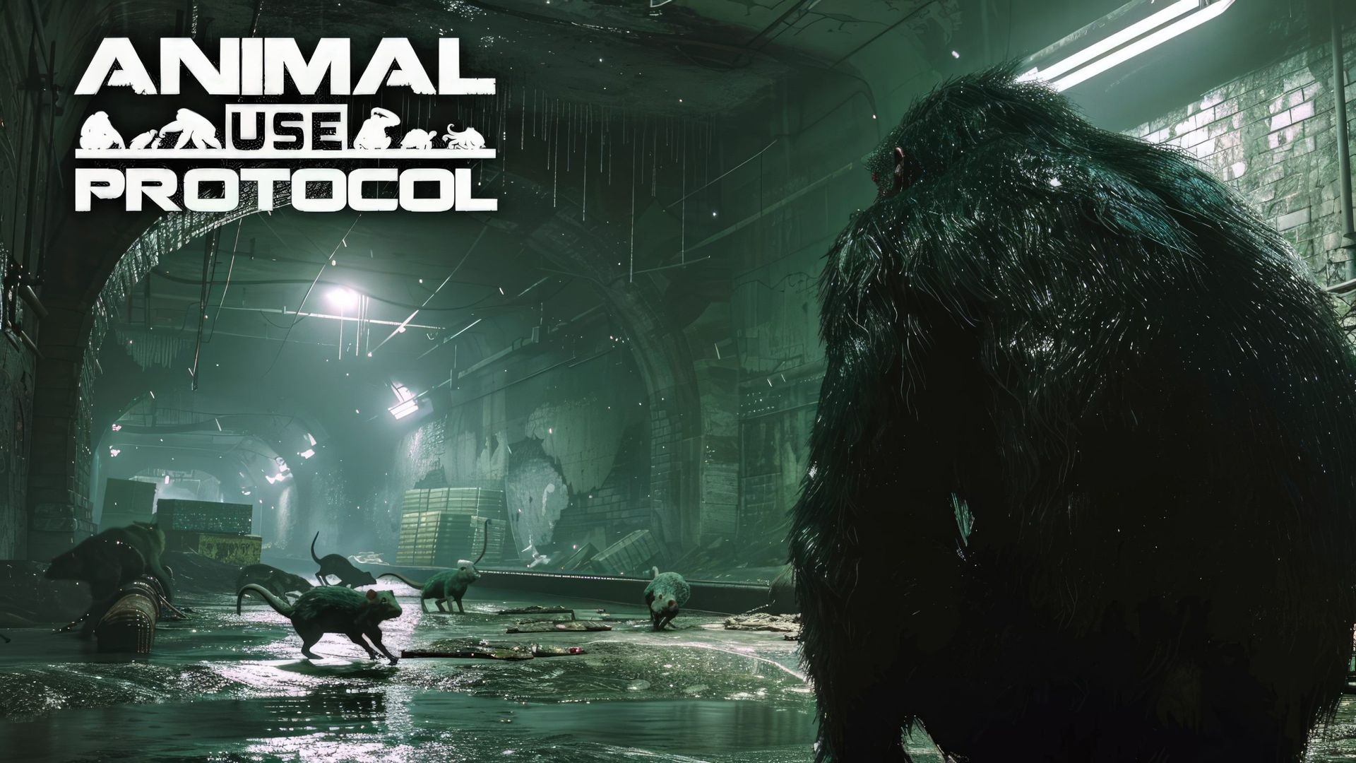 Spela apa i Animal Use Protocol