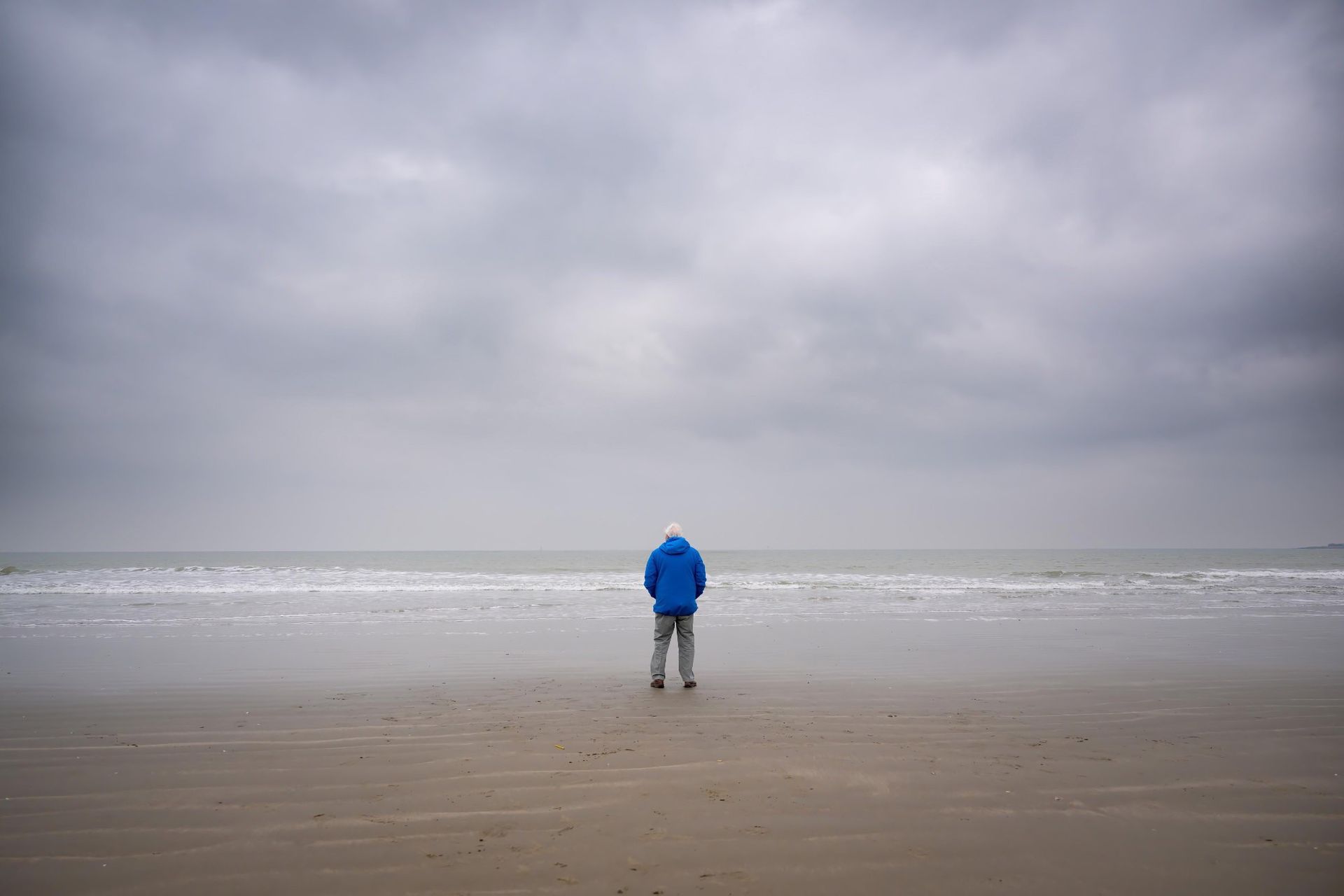 Ny dokumentär med David Attenborough på ingång