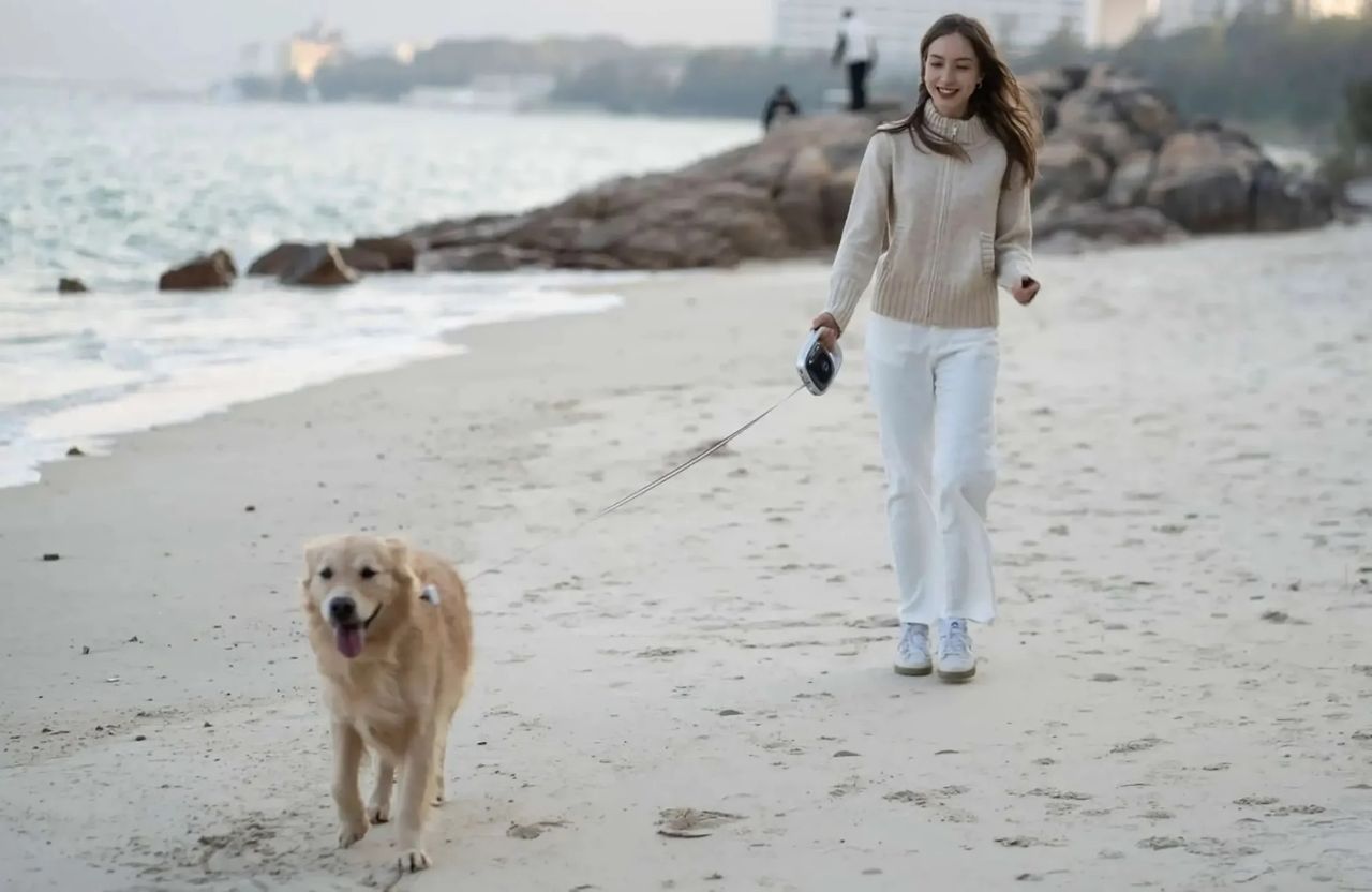 Pet Power Leash är ett smart koppel